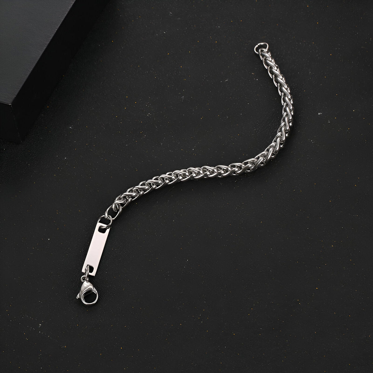 Bracelet gourmette en titane argenté, maille spiga fine, fermoir mousqueton robuste, modèle Swann.
