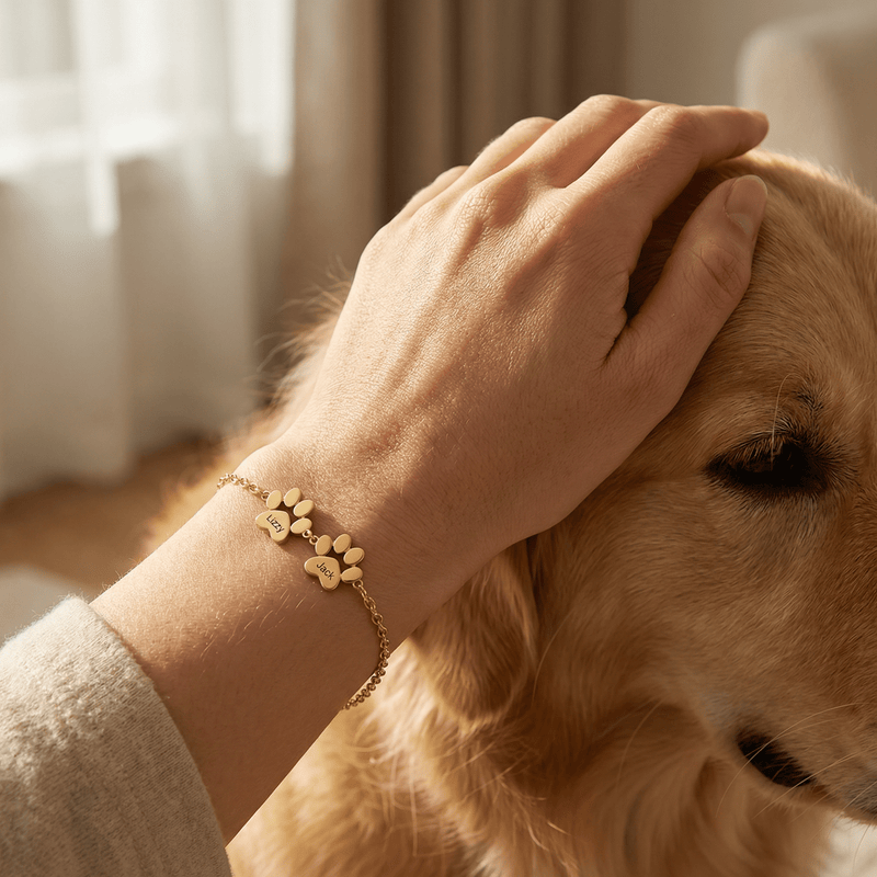 Bracelet patte personnalisée, en acier inoxydable, mixte, modèle Tinou 2 pattes