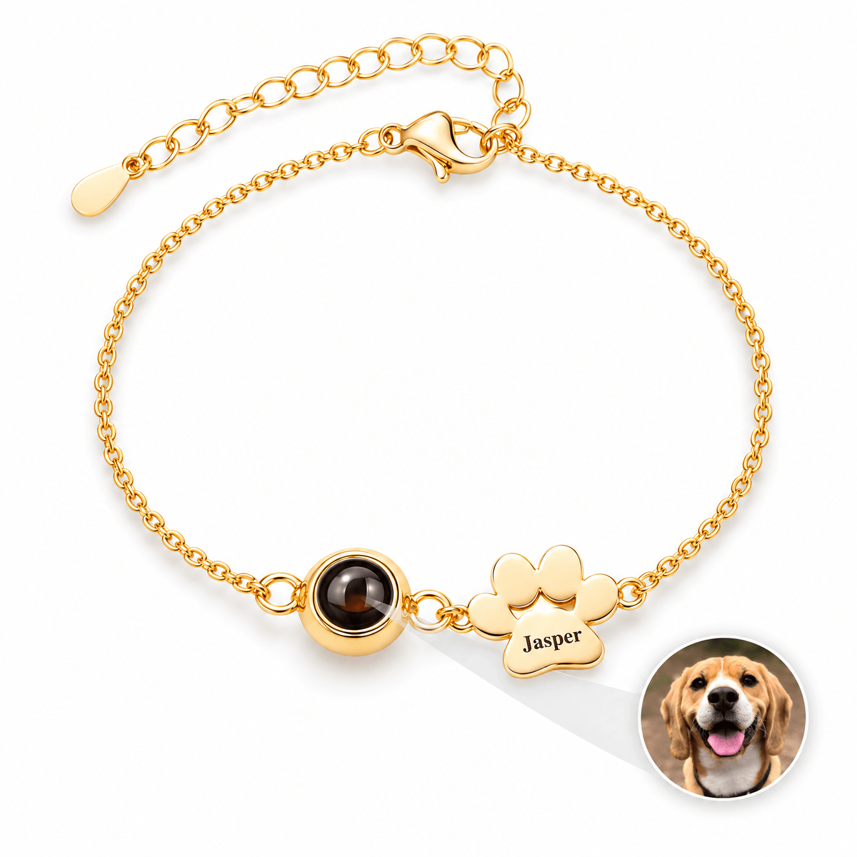 Bracelet photo personnalisé, une patte à graver, en acier inoxydable — modèle Cliff — Or — packshot studio photo sous lentille