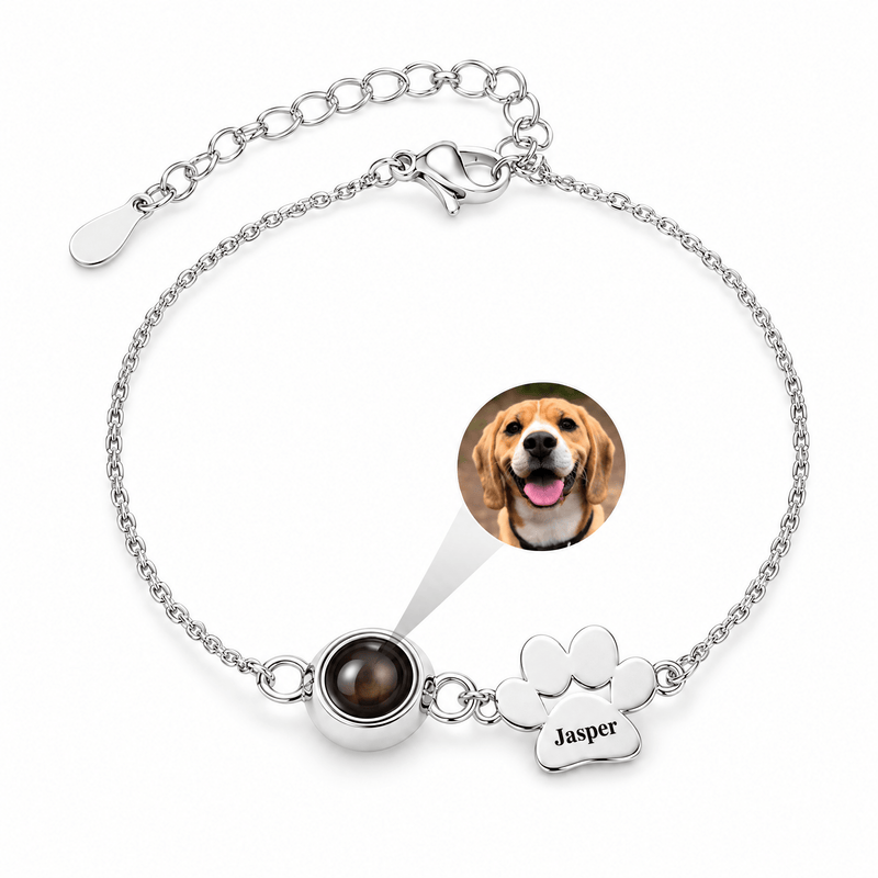 Bracelet photo personnalisé, une patte à graver, en acier inoxydable — modèle Cliff — Argent — packshot studio photo sous lentille
