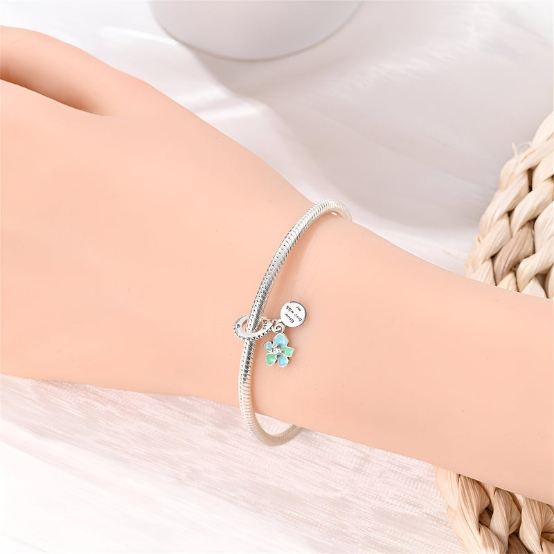 Colgante charm de plata,
