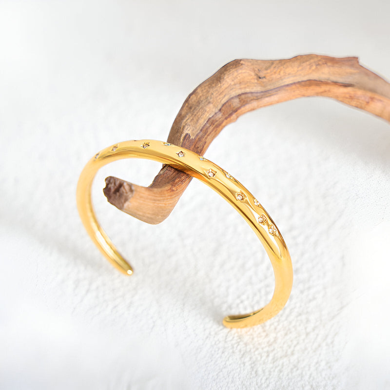 Bracelet jonc en titane plaqué or 18 carats avec zircons sertis, modèle Gabriella, finition lisse et brillante.