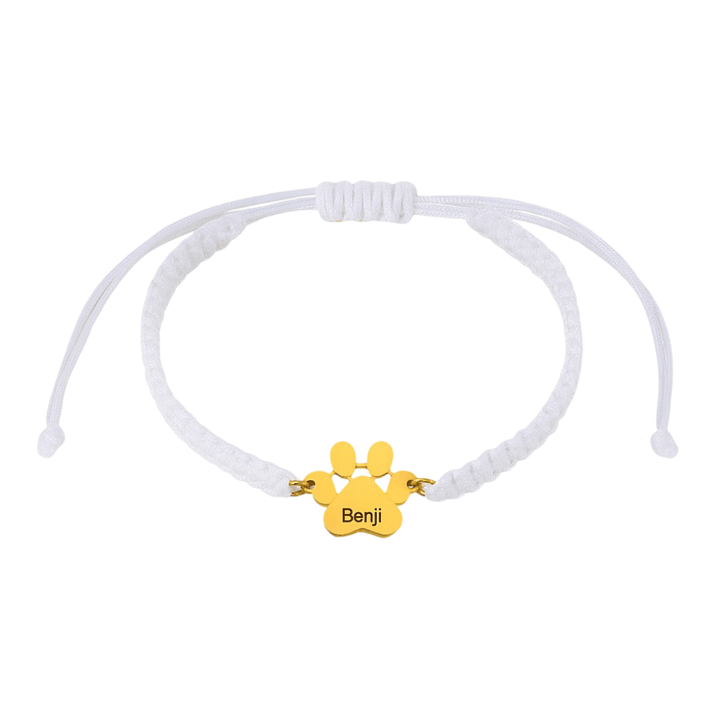 Bracelet en nylon blanc tressé avec pendentif patte en acier inoxydable doré gravé "Benji".