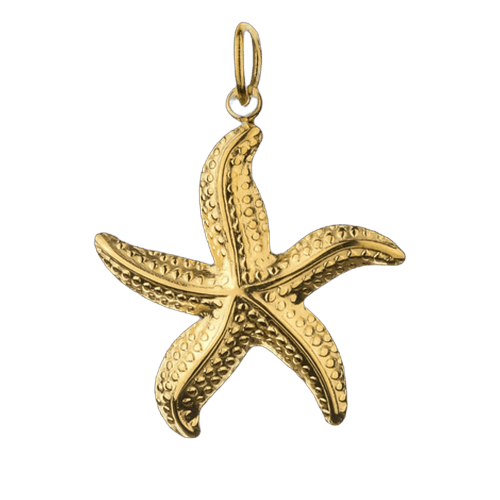 Hangerbedel in de vorm van een zeester met reliëfstructuur, goudkleurige afwerking, model Maréa