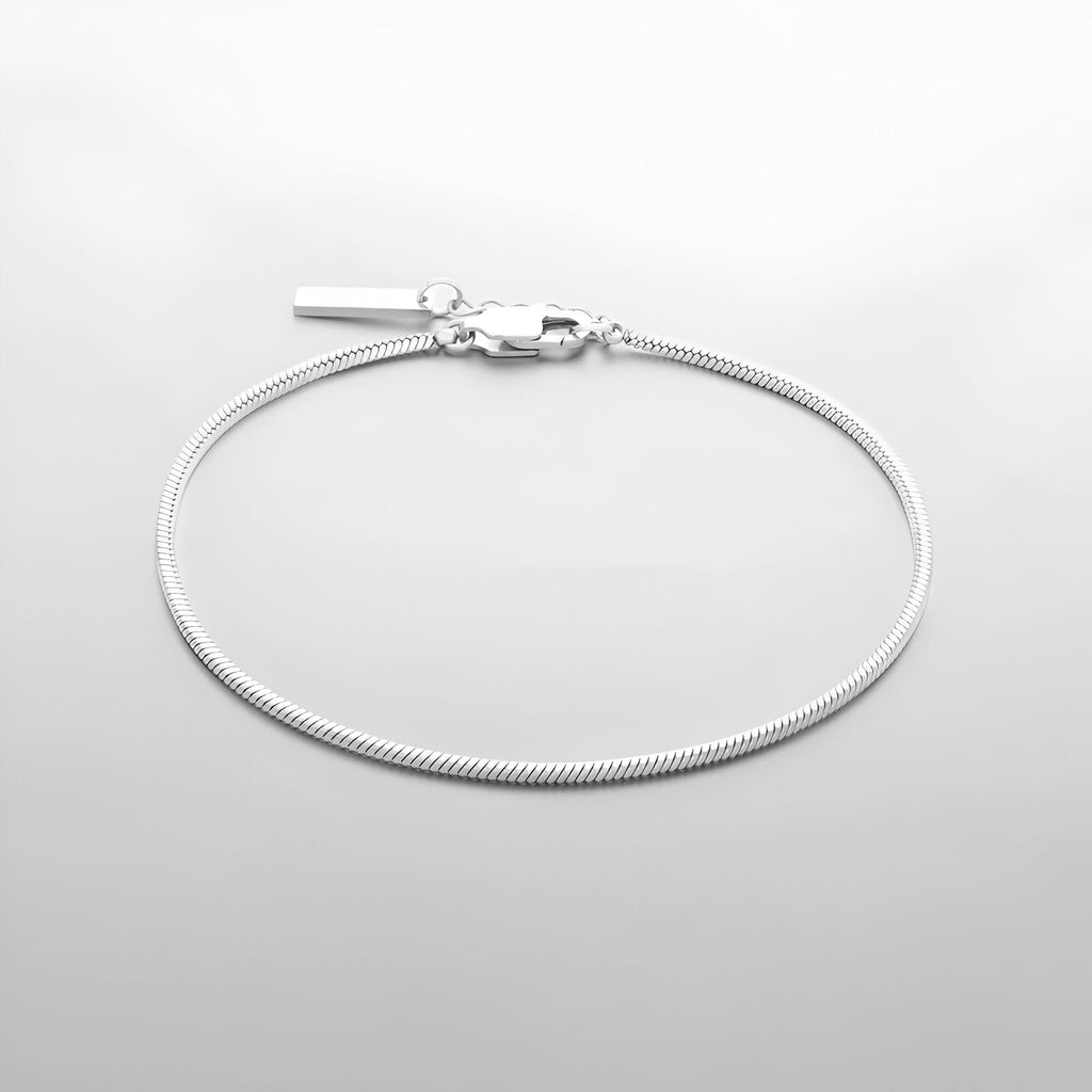 Bracelet homme en acier inoxydable, maille serpent fine, fermoir mousqueton argenté.