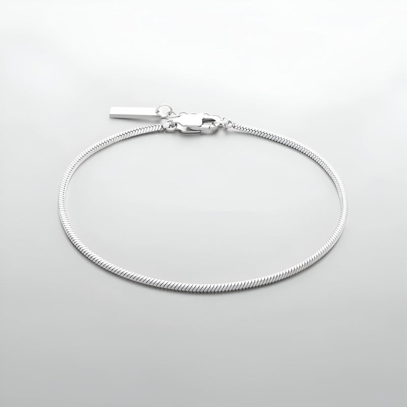 Bracelet homme en acier inoxydable, maille serpent fine, fermoir mousqueton argenté.