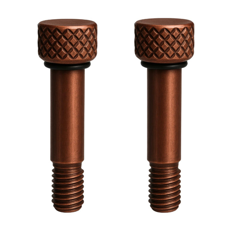 Lot de 2 vis de manille en bronze à tête moletée texturée.