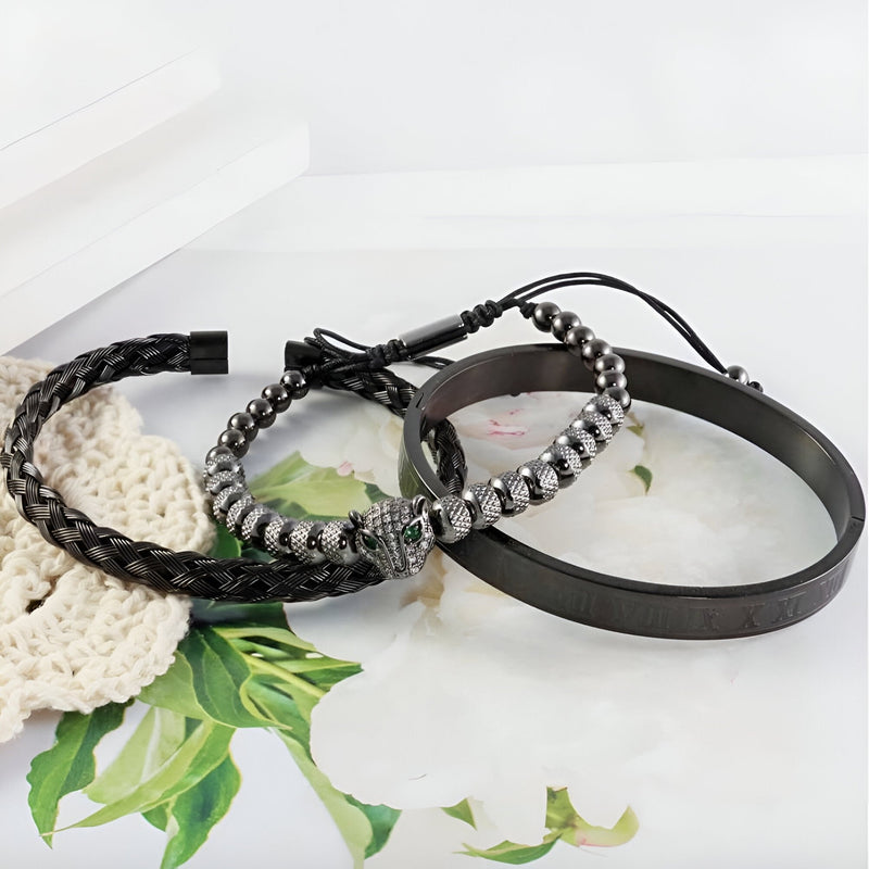 Trio de bracelets pour homme en acier inoxydable noir, incluant un tressé, un à perles avec tête de léopard argentée et un.